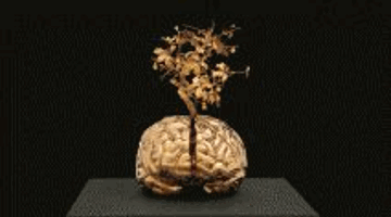 JAN FABRE : Do we feel with our brain and think with our heart?