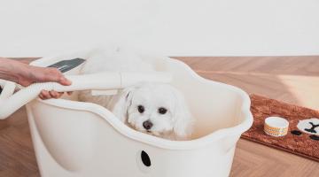 신일, 반려동물 전용 욕조 ‘스파&드라이’ 선뵈