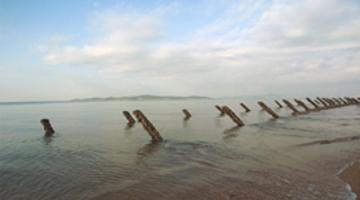 생존에 대해 고민하는 예술가