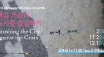 결을 거슬러 도시를 솔질하기 Brushing the City against the Grain